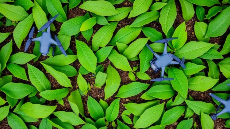 Drones Reveal Hidden Crop Water Stress Weeks Before It Shows in the Leaves