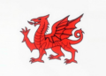 Health Records Reveal How Congenital Conditions and Poverty Shape School Success in Wales