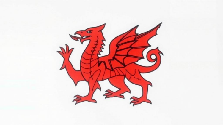 Health Records Reveal How Congenital Conditions and Poverty Shape School Success in Wales