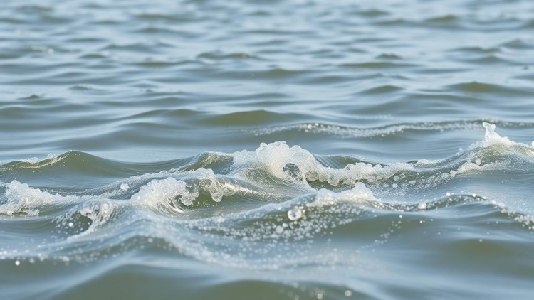 Virtual particles reveal how wind drives sewage plumes through an Albanian lagoon