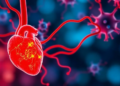 Hypertensive Stress Rewires Immune Cell Signals in a Common Heart Failure Syndrome Independent of Obesity