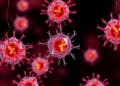 Piceatannol Boosts Polymyxin B Against Deadly E. coli O157:H7 by Blocking Biofilms