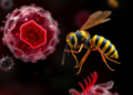 Parasitoid Wasp Venom Ships Immune-Suppressing Proteins Into Host Cells in Tiny Vesicles