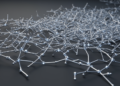 How Nanowire Density Shapes the Memory of Brain-Like Silver Networks