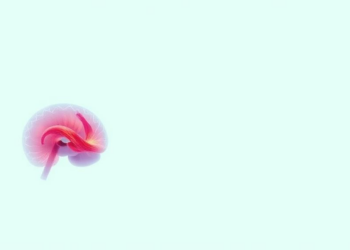 Physicists' Reaction-Diffusion Equations Inspire Sharper AI for Skin Cancer Diagnosis