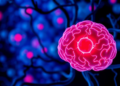 Landmark Study Reveals How Cellular Recycling Falters in Parkinson's Disease