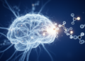 Neural Network Sharpens Early Drug Discovery With 95.9% Accuracy in Predicting Painkilling Compounds