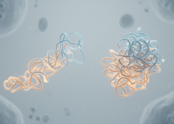 Subtle Shape Shifts, Not Misfolding: How FUS Mutations Drive ALS