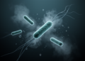 Legionnaires' Disease in Lazio: Age, Sex, Smoking and Rainfall Drive Risk