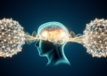 Twin networks learn to read emotions from brain signals without labels