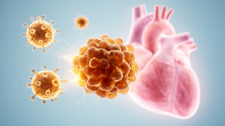 NK Cell Immunotherapy for Solid Tumors Advances, but Cardiac Safety Questions Remain