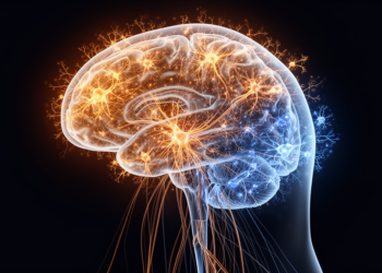 How the Brain Builds Cognition: Five Computational Studies Trace Mind From Neurons to Networks