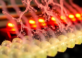 Water-Repelling MOF Turns Humid Flue Gas Into an Advantage for Carbon Capture