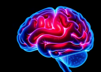 Heart Risks Leave Distinct Fingerprints on the Aging Brain Across Latino Heritage Groups