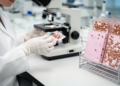 CD117 Staining for GIST: UK EQA Data Reveal Significant Antibody Performance Differences