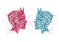 Hybrid AI Parser Pairs Transformers with Graph Networks to Decode English Grammar
