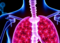 Cell Death Genes Could Predict Survival in Esophageal Cancer, Study Finds