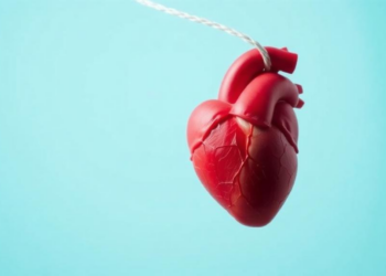 Infections Before Pregnancy Linked to Higher Risk of Congenital Heart Disease in Babies