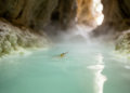 Sulfur-loving shrimp relative discovered in Albania's Breath of the Dragon Cave