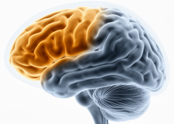 Fatigue in Crohn's disease maps onto folding of temporal and frontal cortex