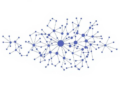 Metarrestin's Anti-Cancer Mechanism Mapped Through Network Pharmacology