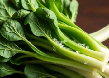 Fermentation Waste Duo Rescues Pak Choi From Salt Stress at Just the Right Dose