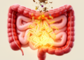 Ancient Four-Herb Formula Heals Colitis by Feeding Gut Microbes That Activate AhR