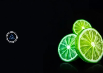 New AI Explainer Finds Extreme Data Archetypes That SHAP and LIME Miss