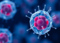 Platelet-Powered Cartilage Cells Move Closer to the Clinic With a New GMP Blueprint