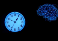 Light Talks Directly to the Hypothalamus, Rewriting the Rules of the Body Clock