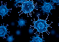 ADAM17 Enzyme Drives Migration in Canine Mammary Tumor Cells, Study Finds