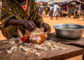 Informal Chicken Slaughter in Southern Mozambique Markets Reveals Alarming Food Safety Gaps