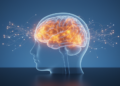 Task-evoked brain signals dominate machine learning classification of adolescent borderline personality disorder