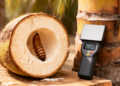 Microwave imaging sees hidden palm weevil pupae inside trunks