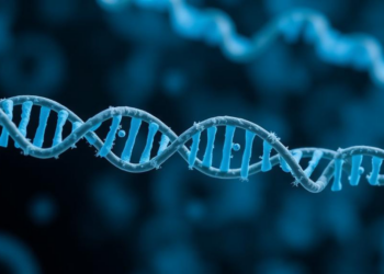 Scientists Rank Genetic Switches That Power Gene Control in Sperm-Producing Cells