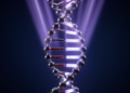 Electrical Engineers Trace How Thymine Shielded Early DNA From Deadly UV Light