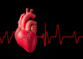 When a Racing Heart Weakens a Child's Heart: 15-Year Study Maps Recovery From Tachycardia-Induced Cardiomyopathy