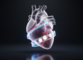 Time as an indispensable causal dimension in cardiovascular diseases: toward a four-dimensional biology