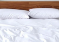 Sleep Does Not Explain Racial Gaps in Grades and Absences Among Georgia Ninth Graders