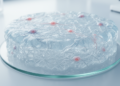 Hydrogels That Heal: How ECM-Mimicking Biomaterials Are Rewriting Regenerative Medicine