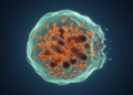 Copper Overload Triggers a Distinct Form of Cell Death That Could Transform Cancer Therapy