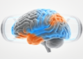 Smarter Brain Imaging: Anatomically Constrained Smoothing Boosts fMRI Reliability While Dodging Artifacts