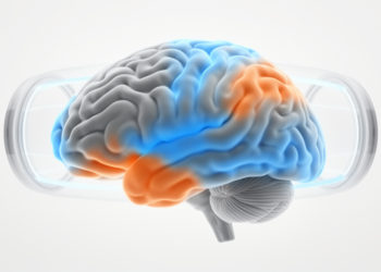 Smarter Brain Imaging: Anatomically Constrained Smoothing Boosts fMRI Reliability While Dodging Artifacts
