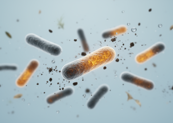 Vancomycin-Resistant Enterococci Are Climbing Worldwide, and the Environment Is Helping Them Spread