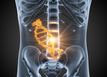 Newly Characterized Gene ZNF865 Emerges as Master Switch Behind Age-Related Back Pain