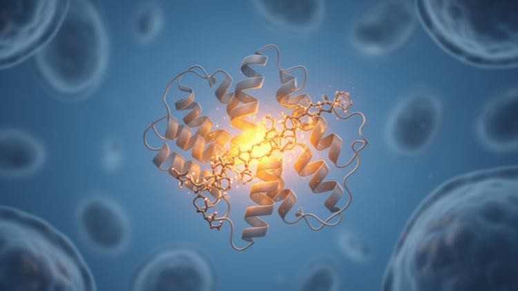 Hidden Sugar Switch Sabotages a Key Enzyme in Attenuated MPS I