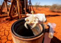 Blind, Pale Scorpion Pulled From Pilbara Borehole Is a Global First