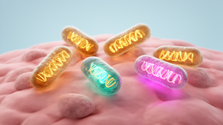Four Carbapenemase Genes Found Coexisting in One Patient's Lung Sample