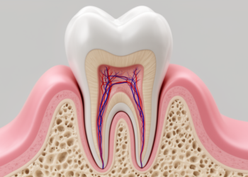 How a 9-Year-Old's Molar Regrew Its Own Root: Inside a Landmark Regenerative Dental Case