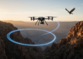 Covariance-Guided Birds of Prey Algorithm Boosts UAV Path Planning